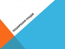 Презентація на тему «Поширення плодів» (варіант 2)