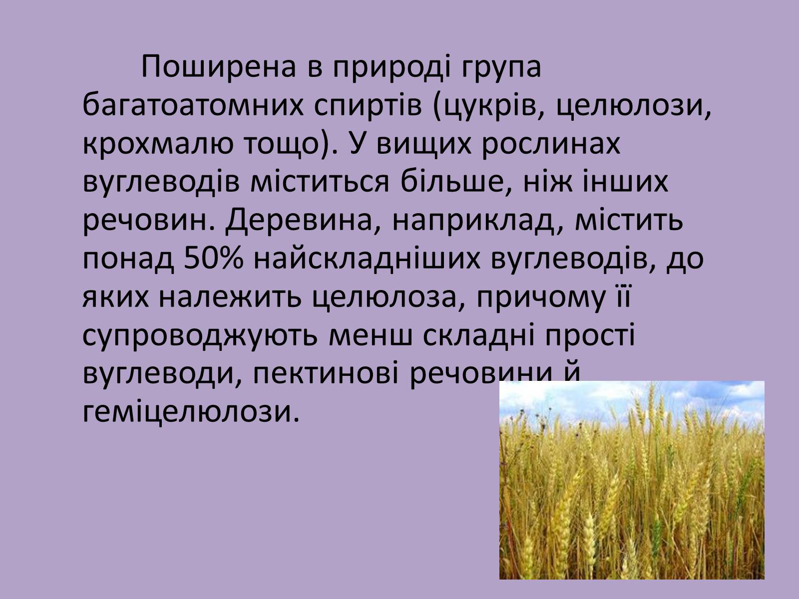 Презентація на тему «Вуглеводи як компоненти їжі, їх роль у житті людини» (варіант 11) - Слайд #8