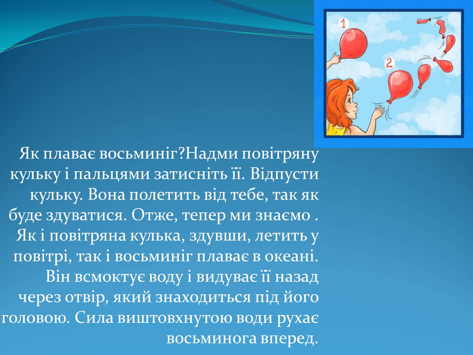 Презентація на тему «Досліди над головоногими молюсками» - Слайд #4