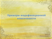 Презентація на тему «Примеры модификационной изменчивости»