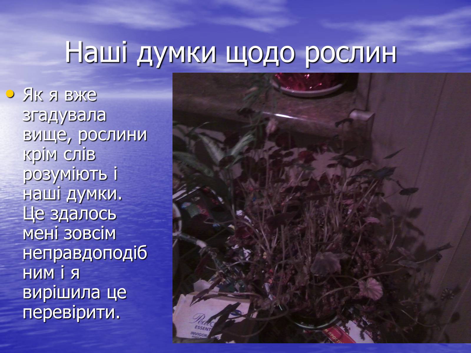 Презентація на тему «Чи розуміють нас рослини?» - Слайд #11