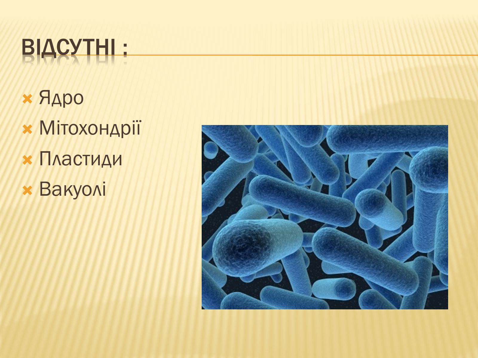 Презентація на тему «Будова прокаріотів» (варіант 2) - Слайд #6