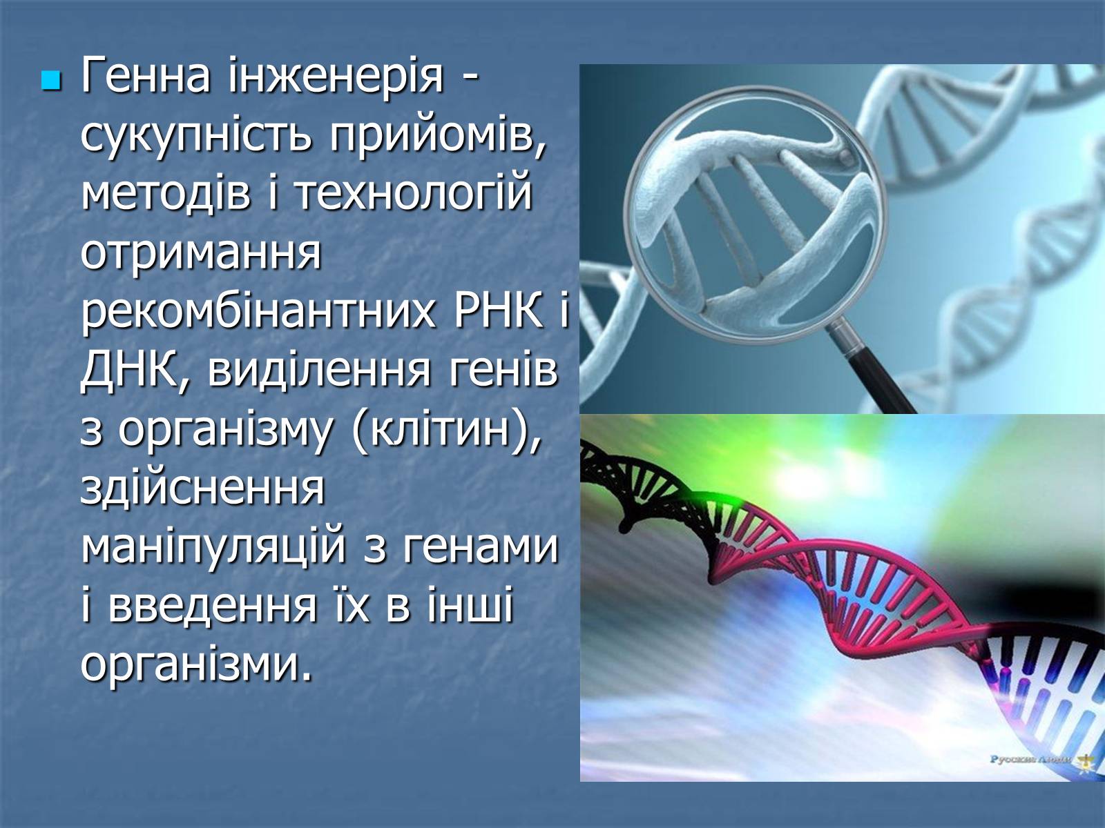 Презентація на тему «Генна інженерія та її досягнення» (варіант 2) - Слайд #2