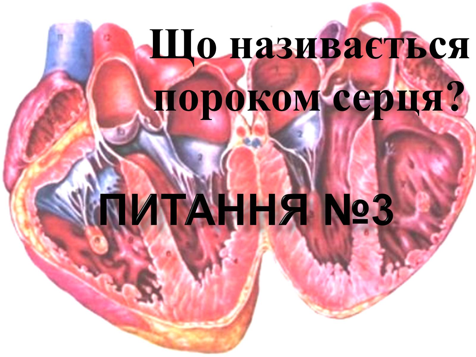 Презентація на тему «Гігієнічність» - Слайд #8