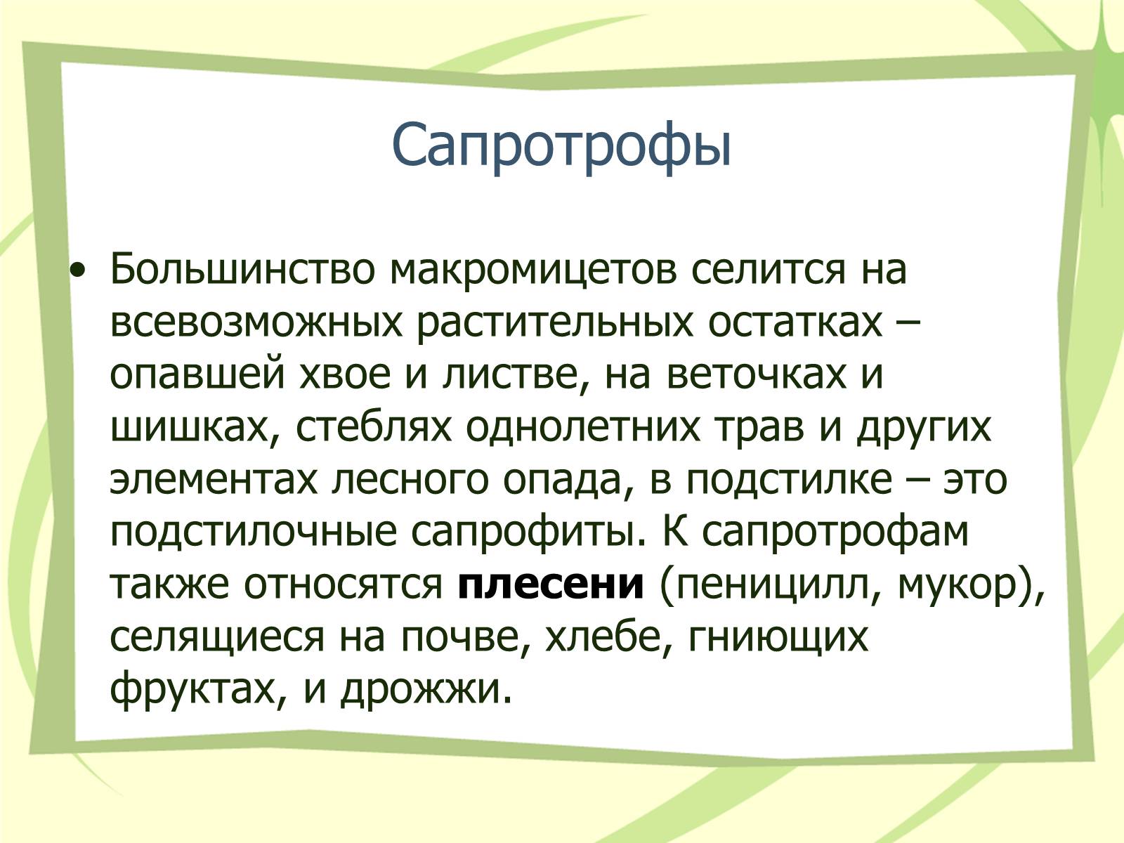 Презентація на тему «Грибы» - Слайд #7