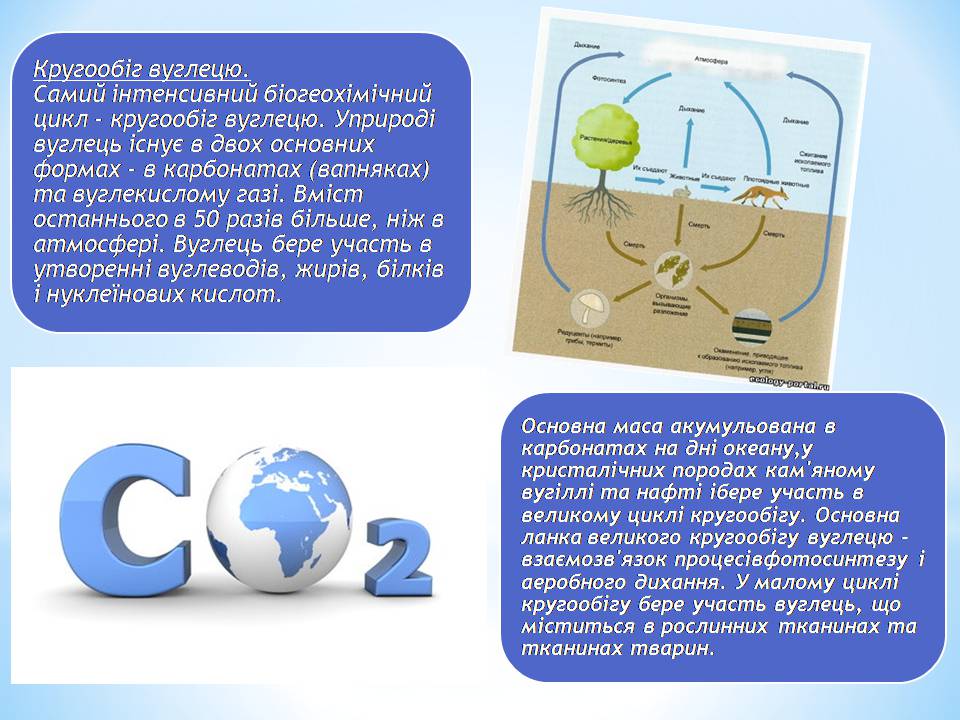 Презентація на тему «Колообіг основних речовин у природі» - Слайд #4