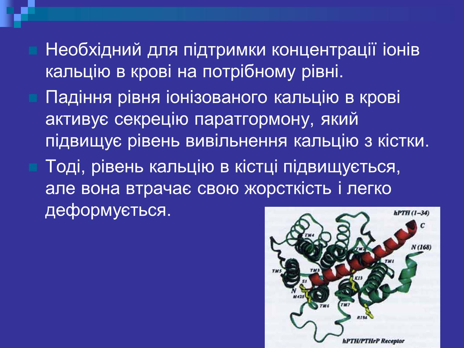 Презентація на тему «Паращитоподібні залози» - Слайд #5