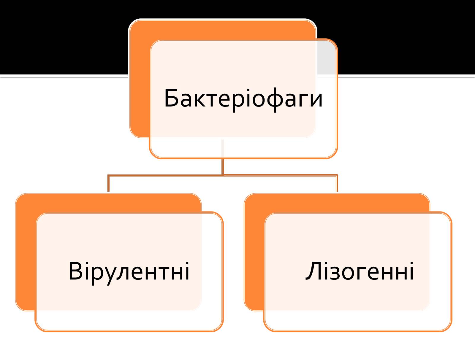 Презентація на тему «Бактеріофаги» (варіант 3) - Слайд #3