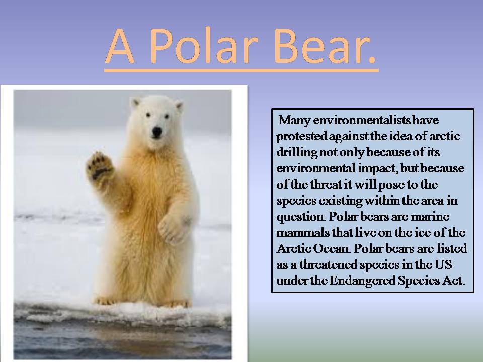 Презентація на тему «Endangered species» - Слайд #9