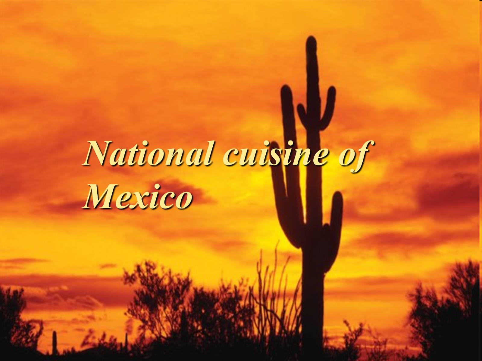 Презентація на тему «National cuisine of Mexico» - Слайд #1