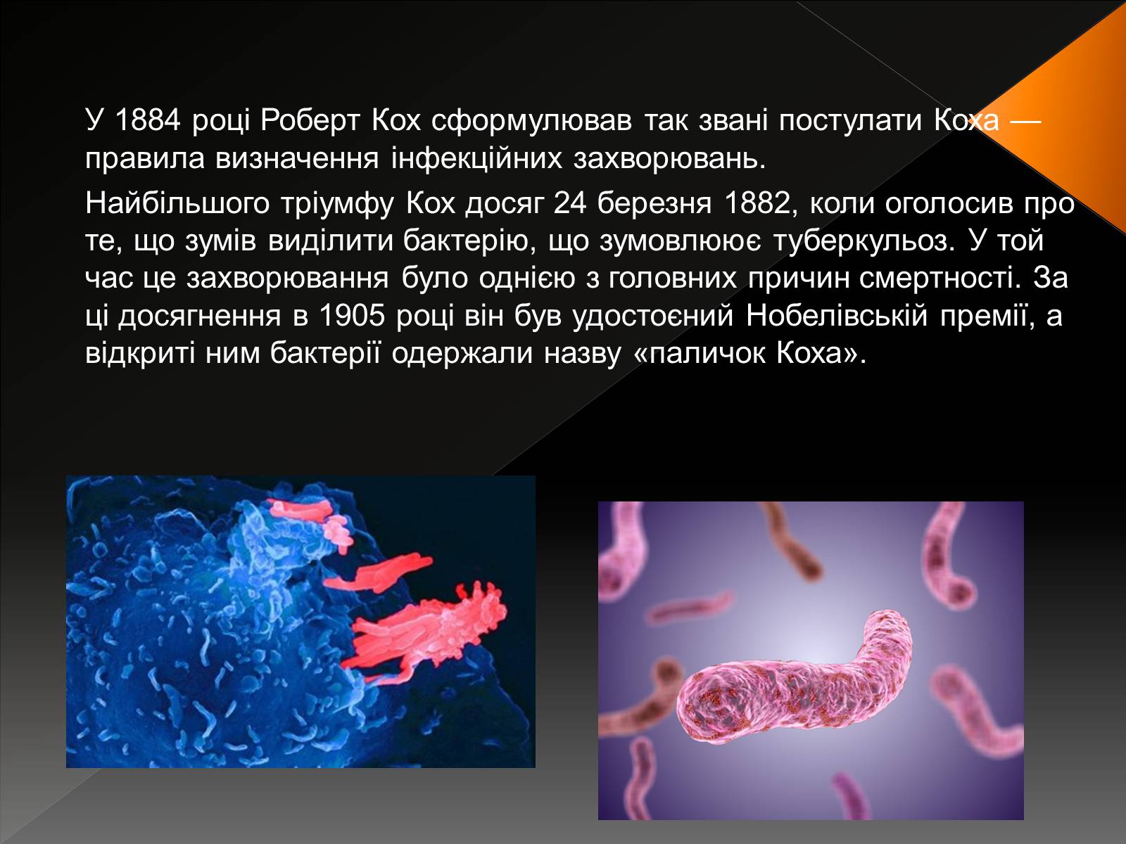 Презентація на тему «Наука і техніка у світі наприкінці ХVIII – у XIX ст» - Слайд #13