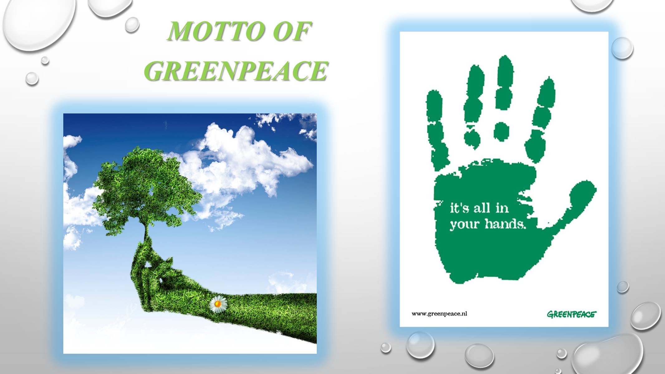 Презентація на тему «Greenpeace» (варіант 2) - Слайд #4