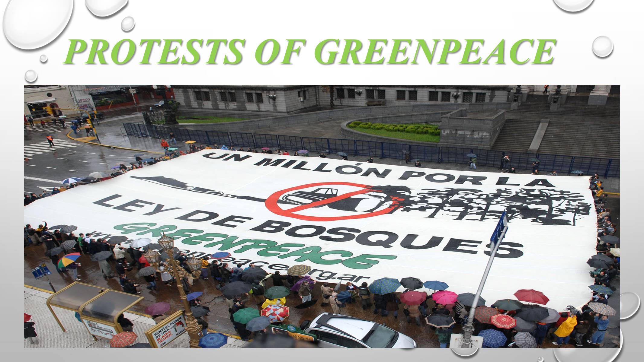 Презентація на тему «Greenpeace» (варіант 2) - Слайд #8
