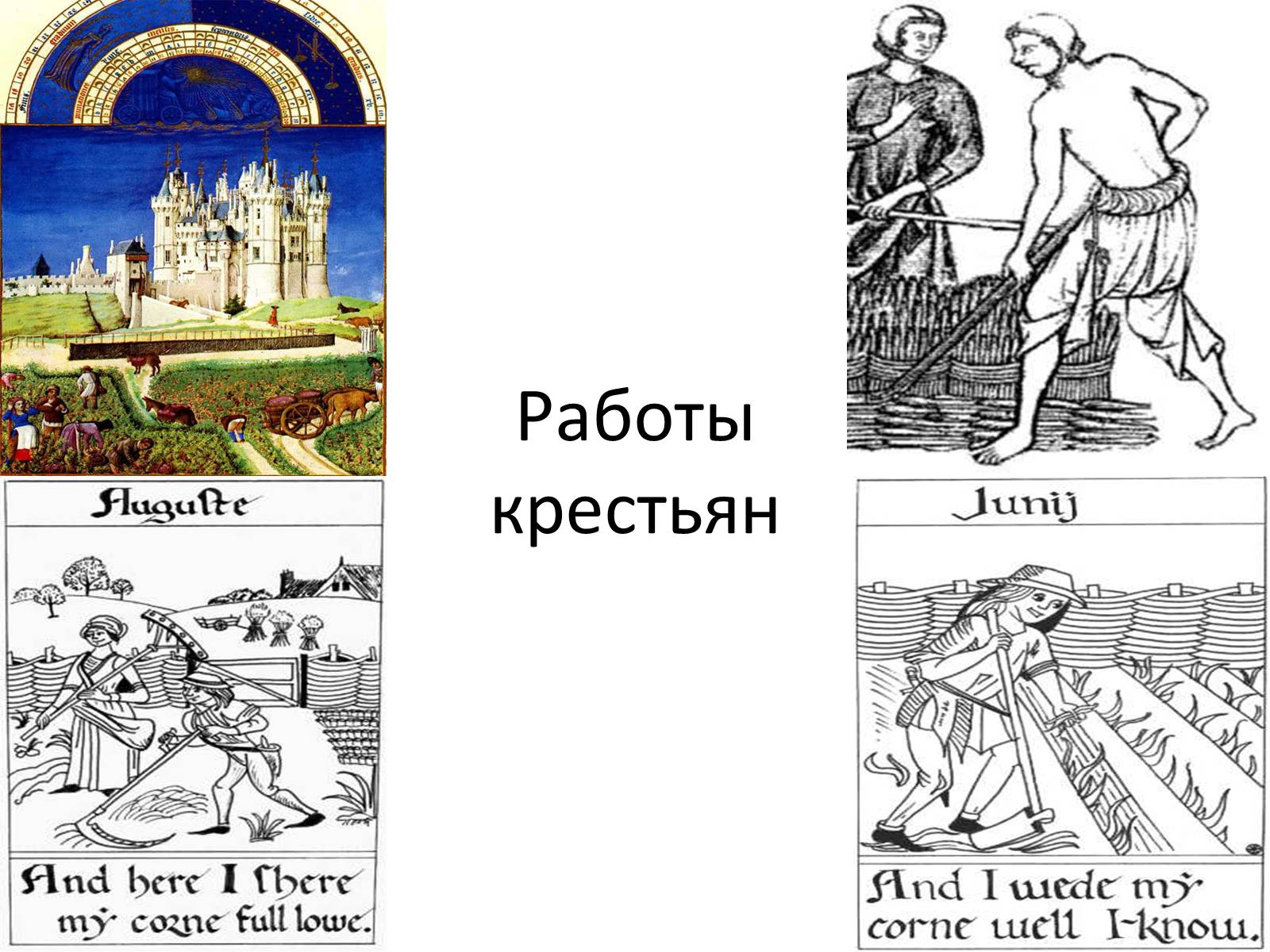 Презентація на тему «Средневековая деревня и её обитатели» - Слайд #5