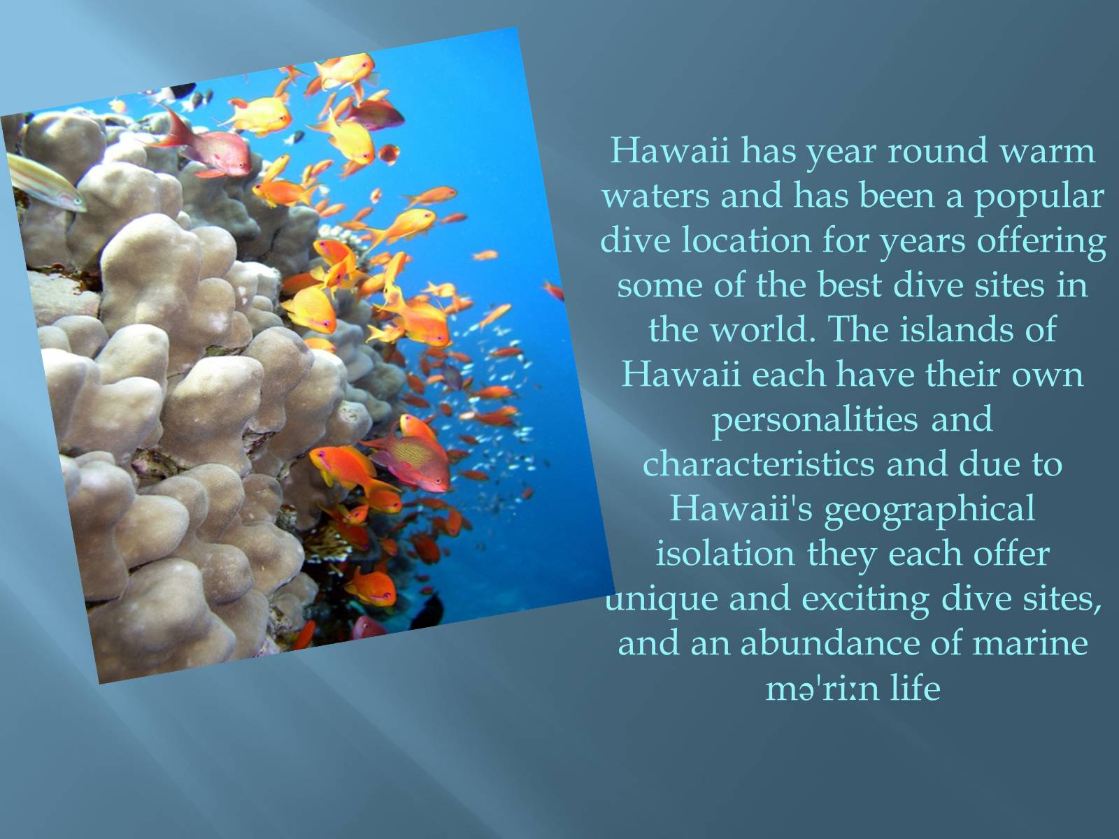 Презентація на тему «The Hawaiian Islands» - Слайд #16
