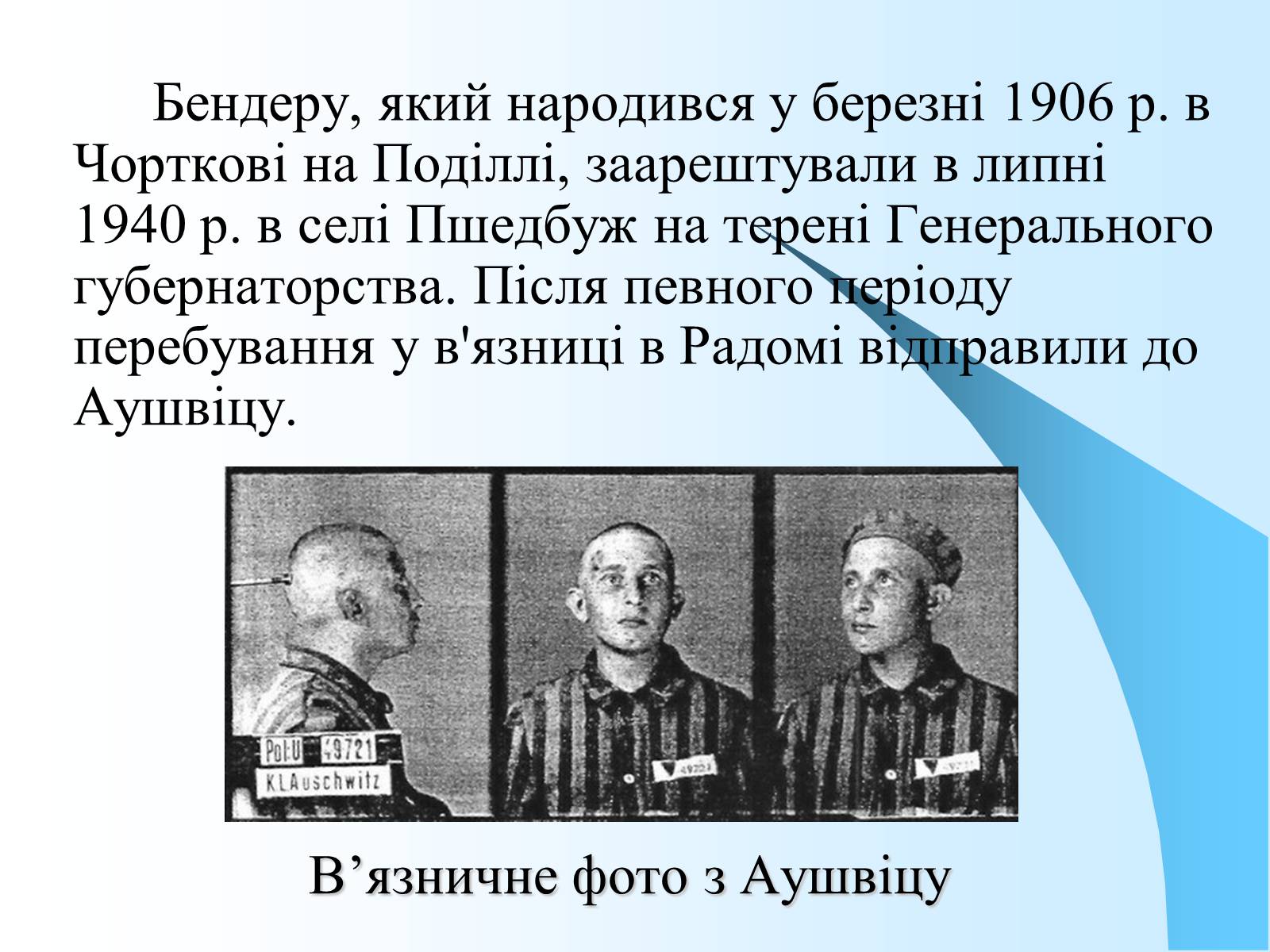 Презентація на тему «Нацистський концтабір Аушвіц» - Слайд #8