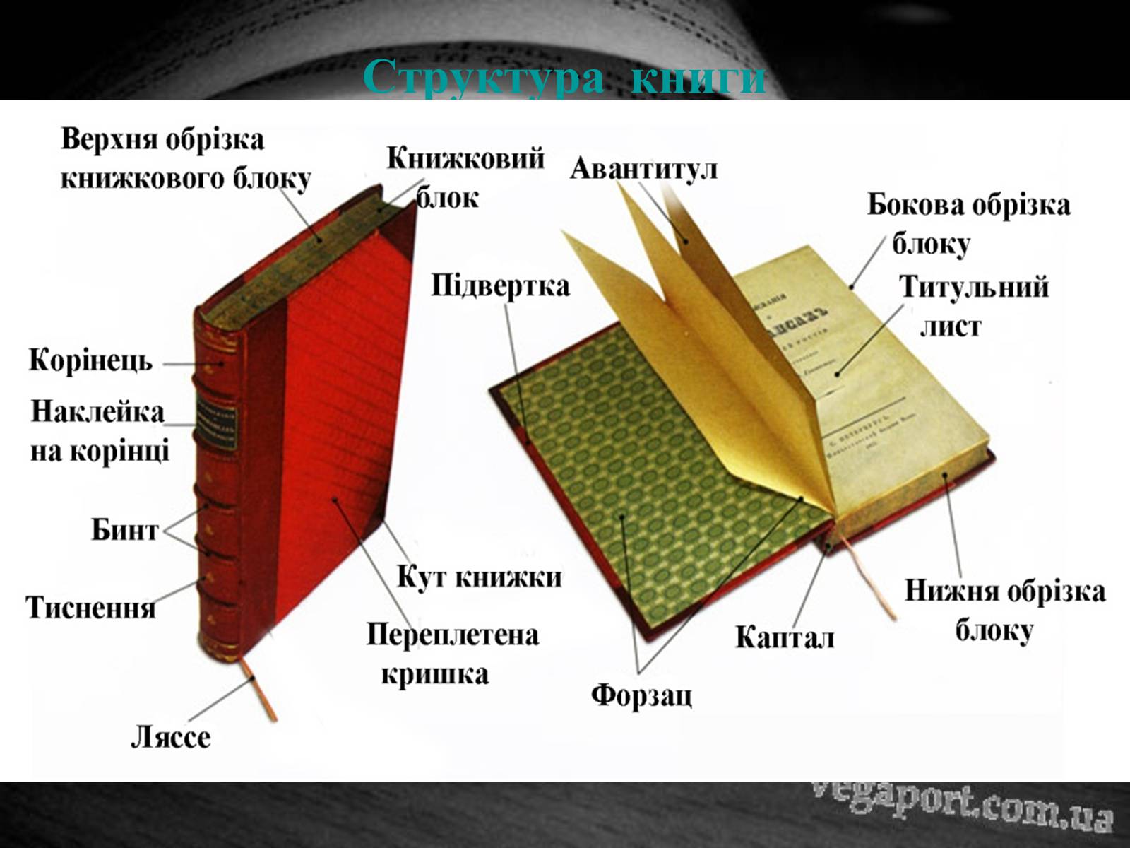 Презентація на тему «Як зазнали змін структура та апарат книги протягом XIX-XXI століть?» - Слайд #4