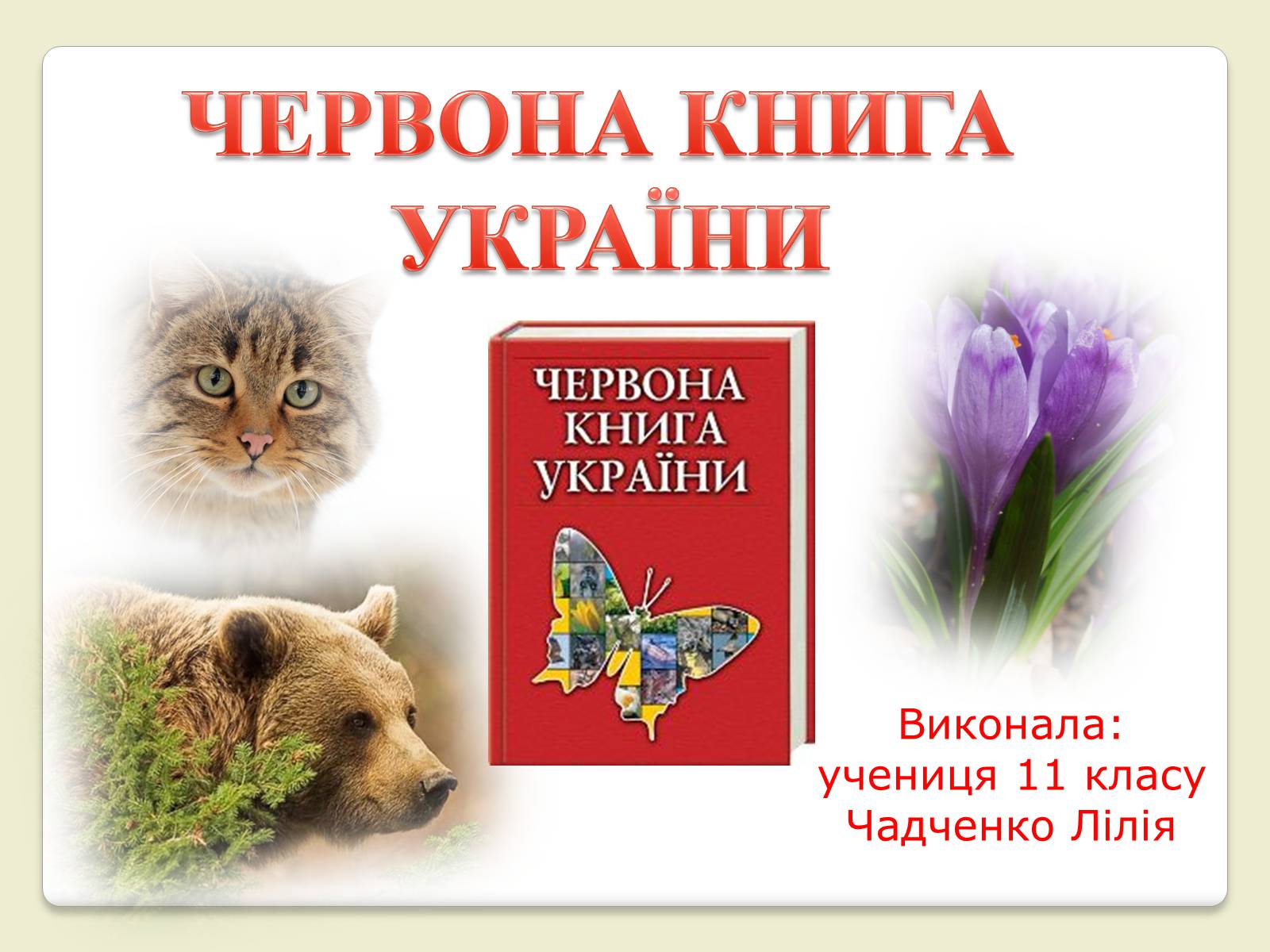 Презентація на тему «Червона Книга України» (варіант 6) - Слайд #1