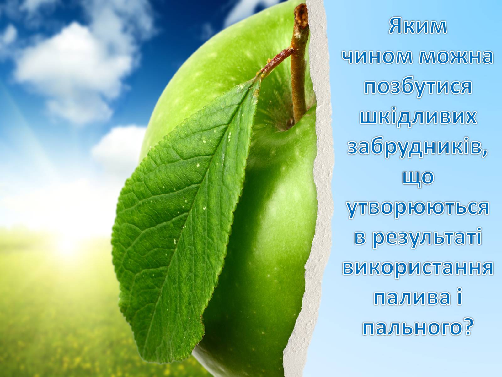 Презентація на тему «Охорона навколишнього середовища від забруднень під час переробки вуглеводневої сировини та використанні її продуктів переробки» (варіант 1) - Слайд #16