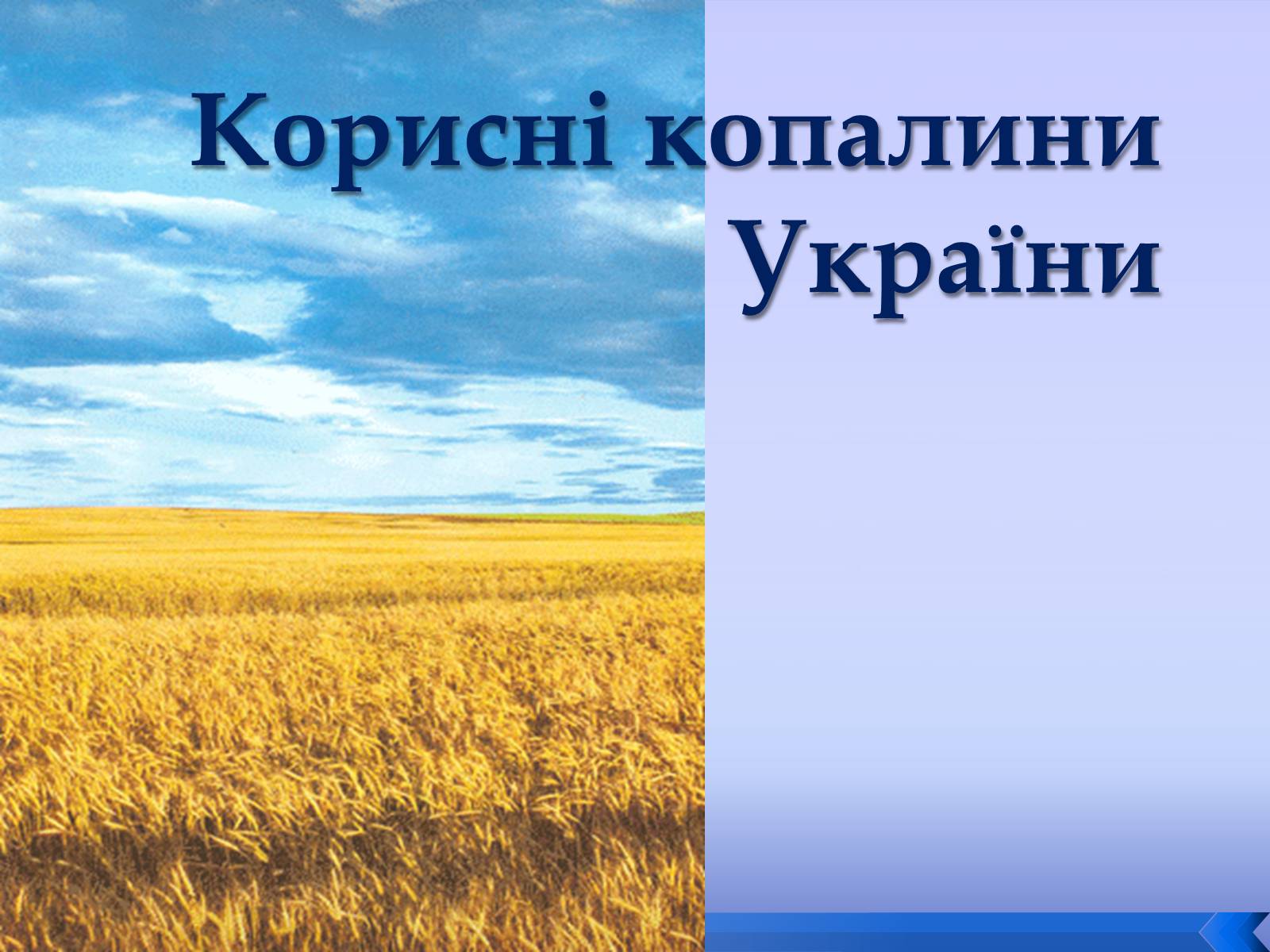 Презентація на тему «Корисні копалини України» (варіант 1) - Слайд #1