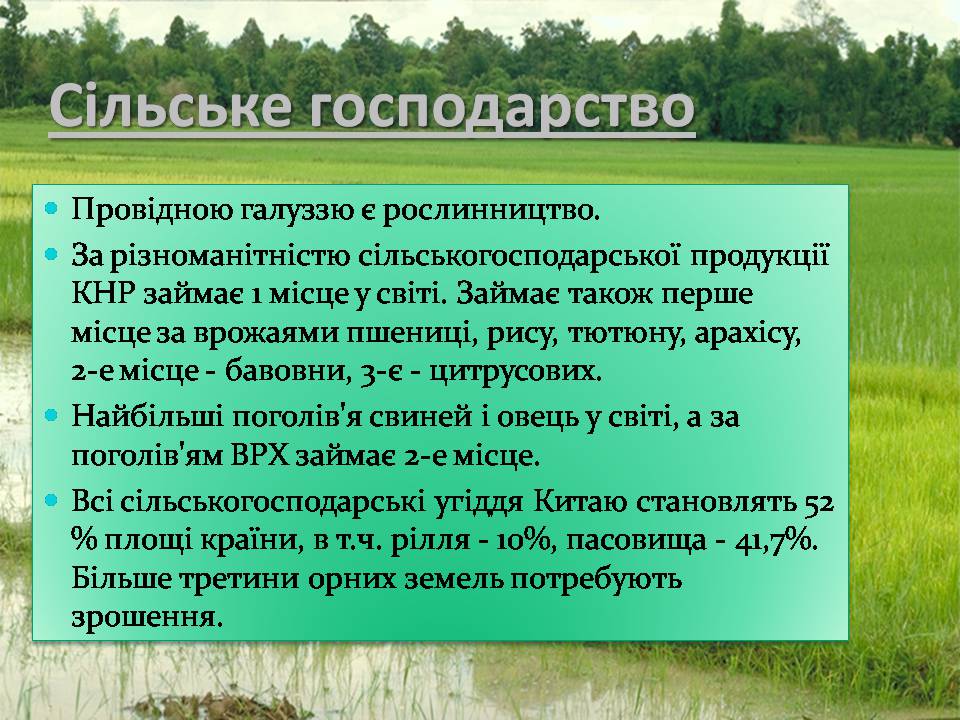 Презентація на тему «Китай» (варіант 31) - Слайд #21