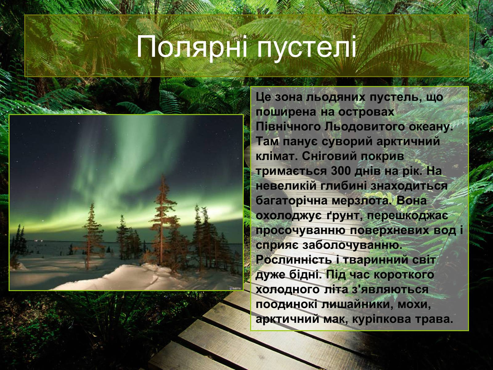 Презентація на тему «Природні зони Євразії» - Слайд #12