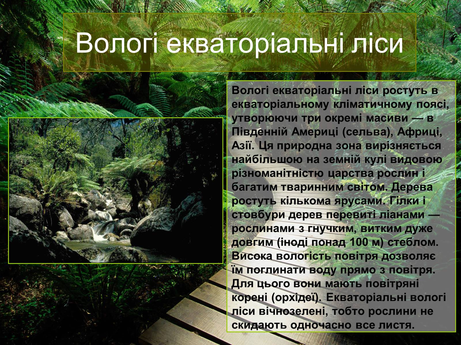 Презентація на тему «Природні зони Євразії» - Слайд #3