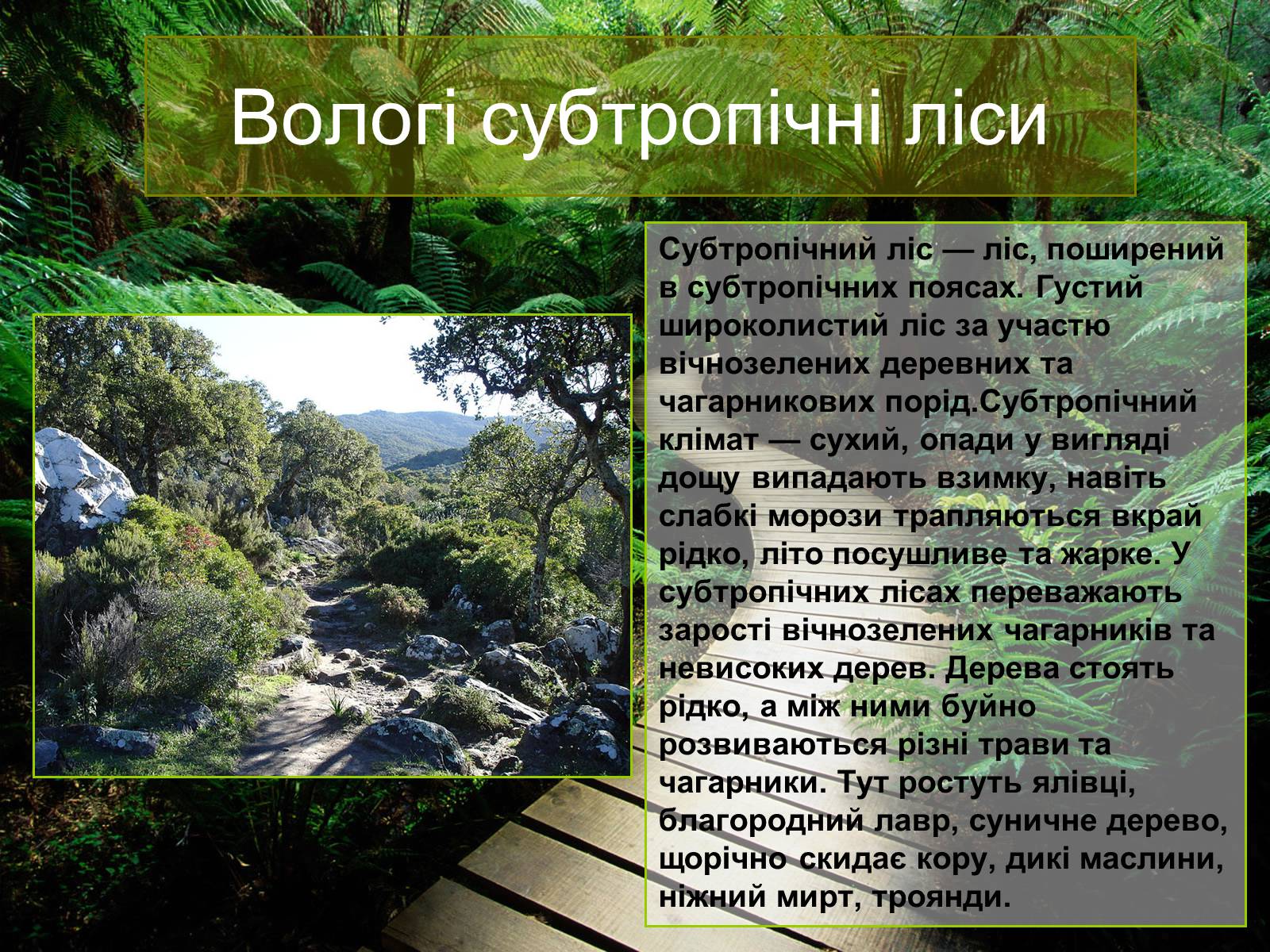 Презентація на тему «Природні зони Євразії» - Слайд #6
