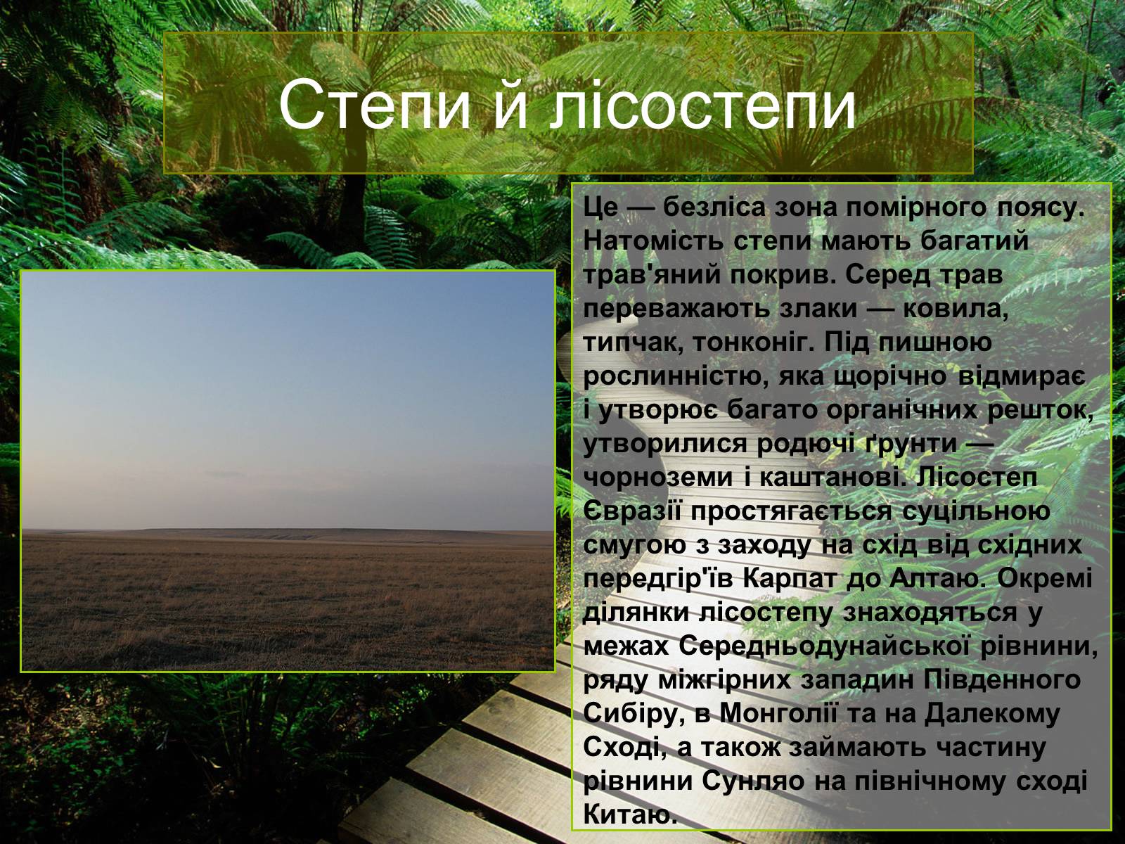 Презентація на тему «Природні зони Євразії» - Слайд #8