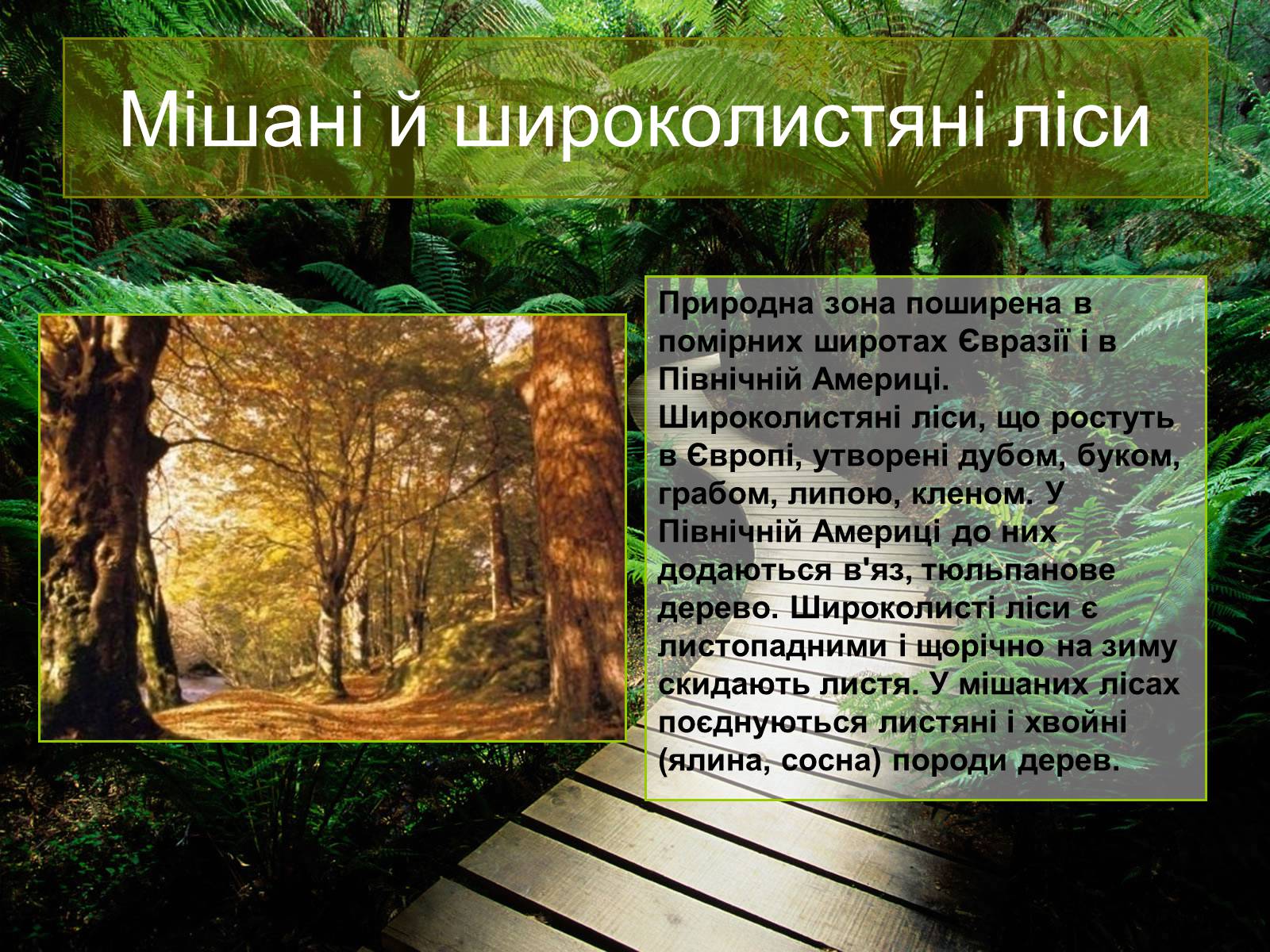 Презентація на тему «Природні зони Євразії» - Слайд #9