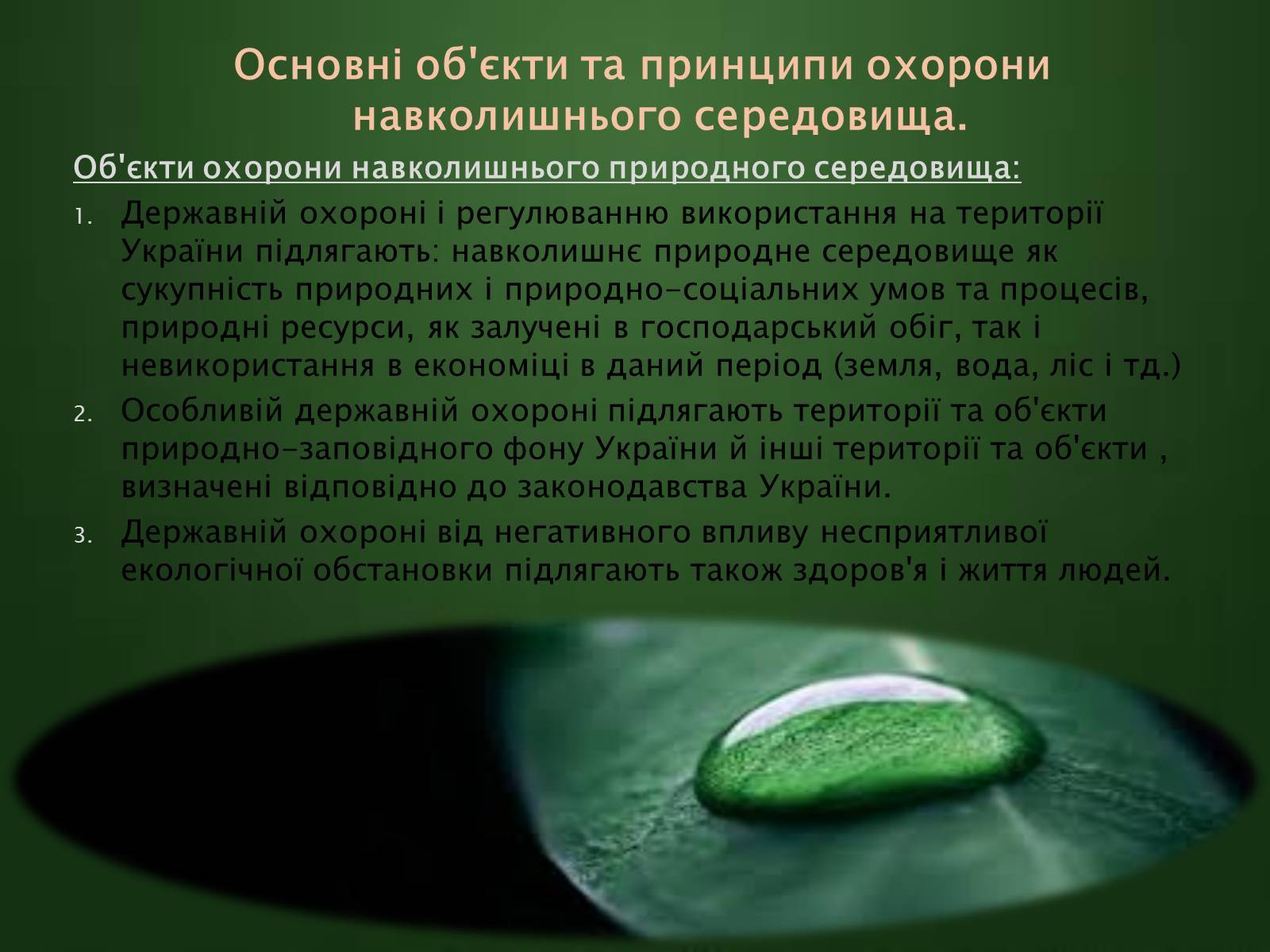 Презентація на тему «Охорона навколишнього середовища» (варіант 1) - Слайд #4