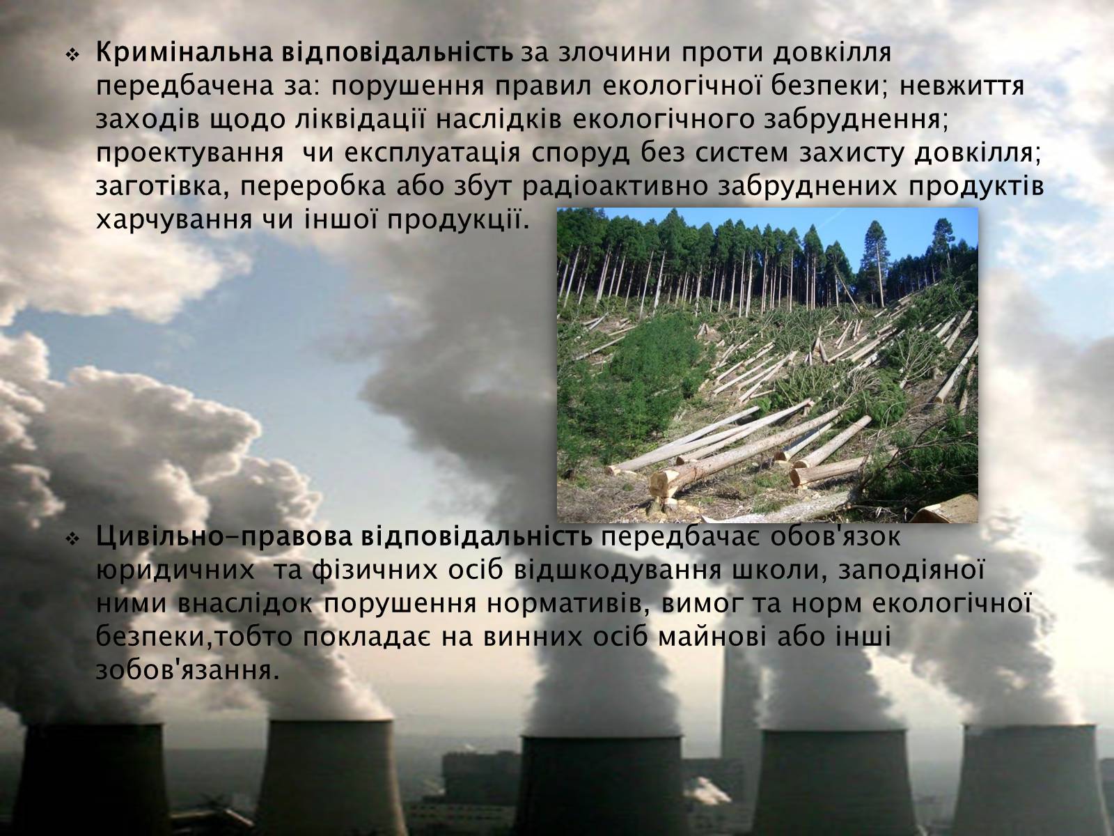 Презентація на тему «Охорона навколишнього середовища» (варіант 1) - Слайд #9