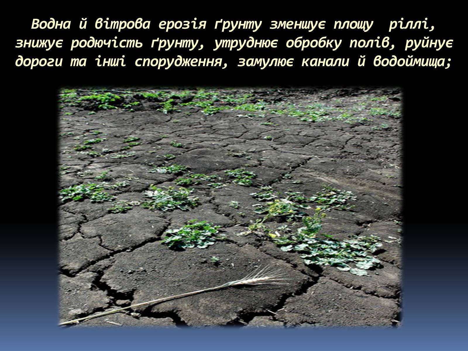 Презентація на тему «Екологічні проблеми людства» (варіант 5) - Слайд #6