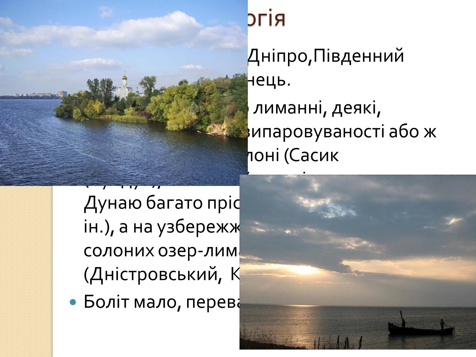 Презентація на тему «Степ України» - Слайд #7