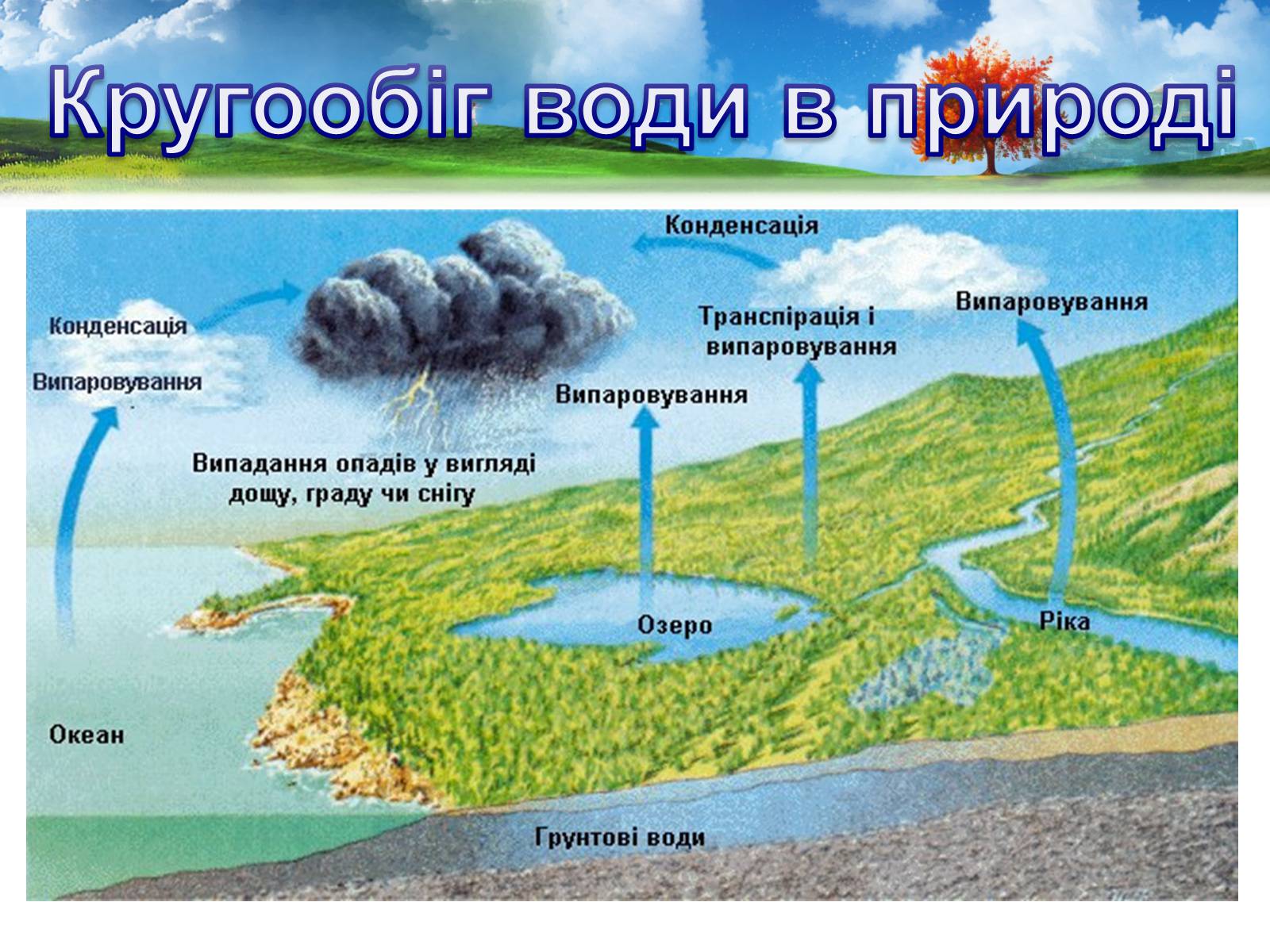 Презентація на тему «Кругообіг води в природі» (варіант 2) - Слайд #8