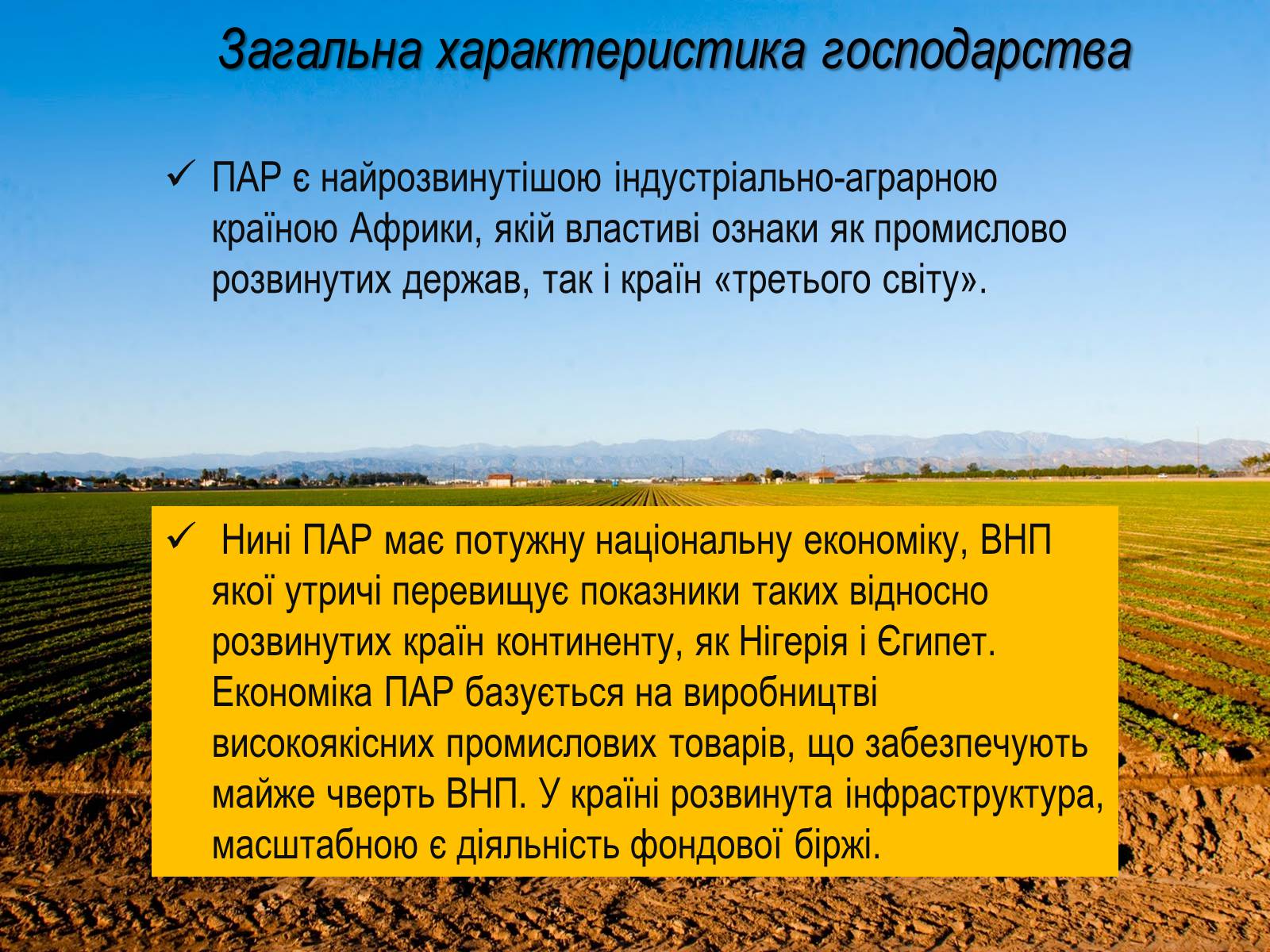 Презентація на тему «Південно-Африканська Республіка» (варіант 4) - Слайд #12