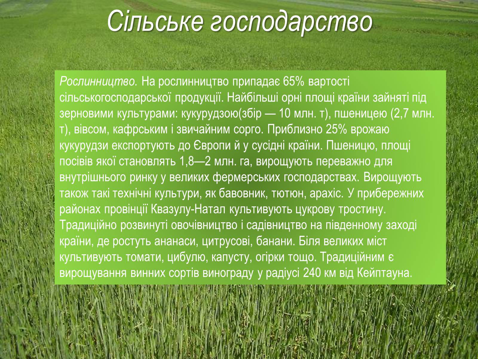 Презентація на тему «Південно-Африканська Республіка» (варіант 4) - Слайд #15