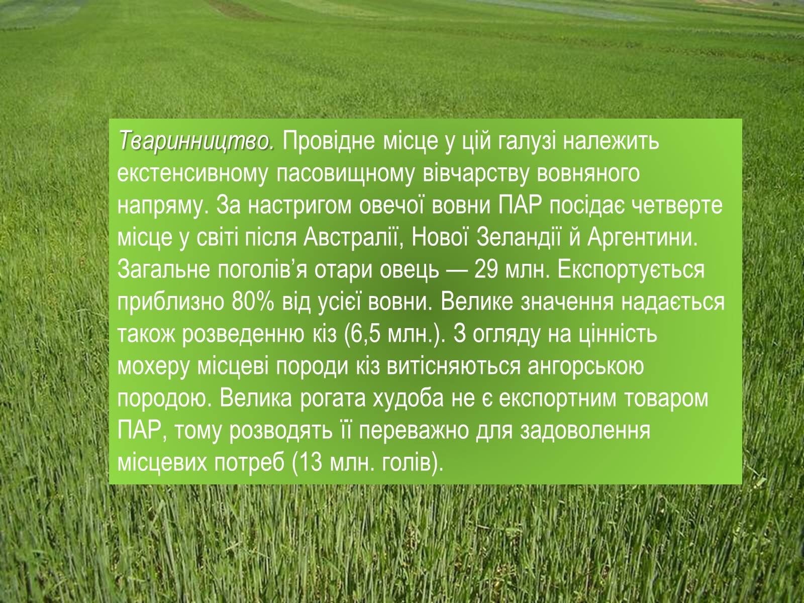 Презентація на тему «Південно-Африканська Республіка» (варіант 4) - Слайд #16