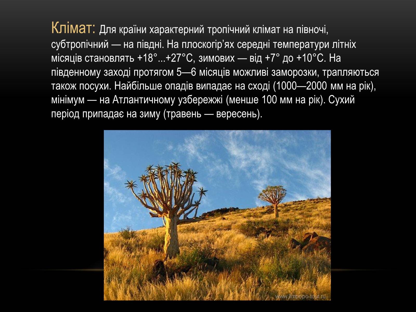 Презентація на тему «Південно-Африканська Республіка» (варіант 4) - Слайд #6