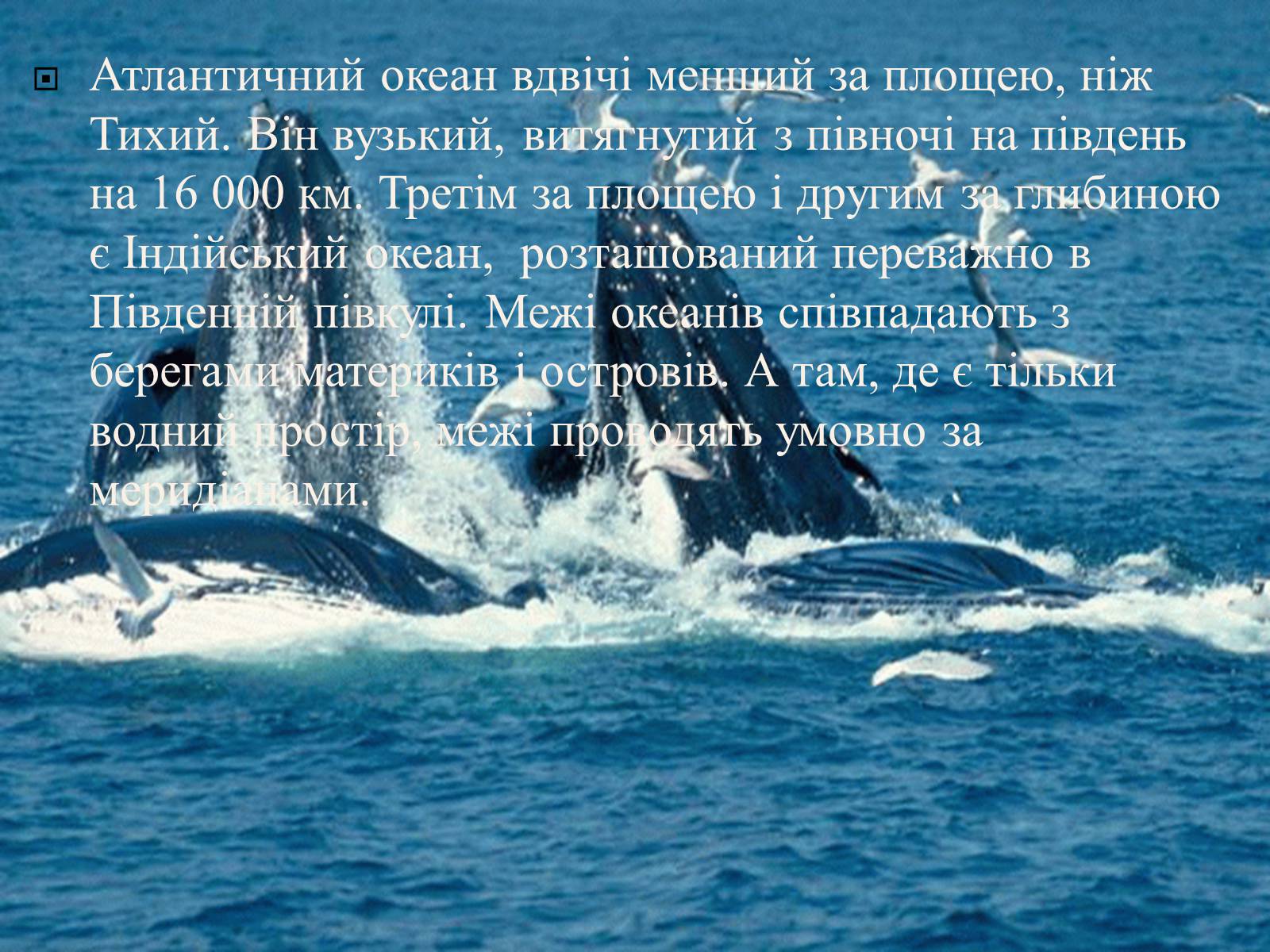 Через океан плывет великан. Тихий океан презентация 4 класс. Проэкт по английскомуязыку про акиан. Как прочитать про океан. Статьи про океан на белом фоне.