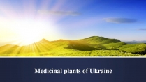 Презентація на тему «Medicinal plants of Ukraine»