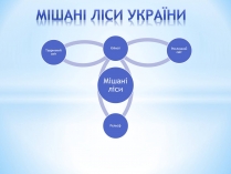 Презентація на тему «Мішані ліси України»