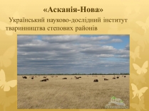 Презентація на тему «Асканія Нова» (варіант 7)