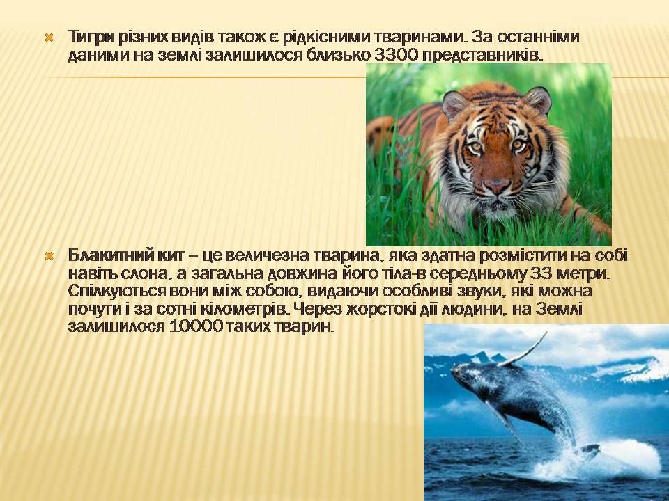 Презентація на тему «Екологічні проблеми людства» (варіант 7) - Слайд #16