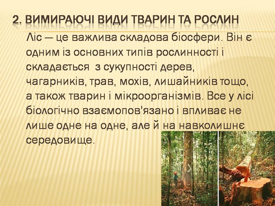 Презентація на тему «Екологічні проблеми людства» (варіант 7) - Слайд #9