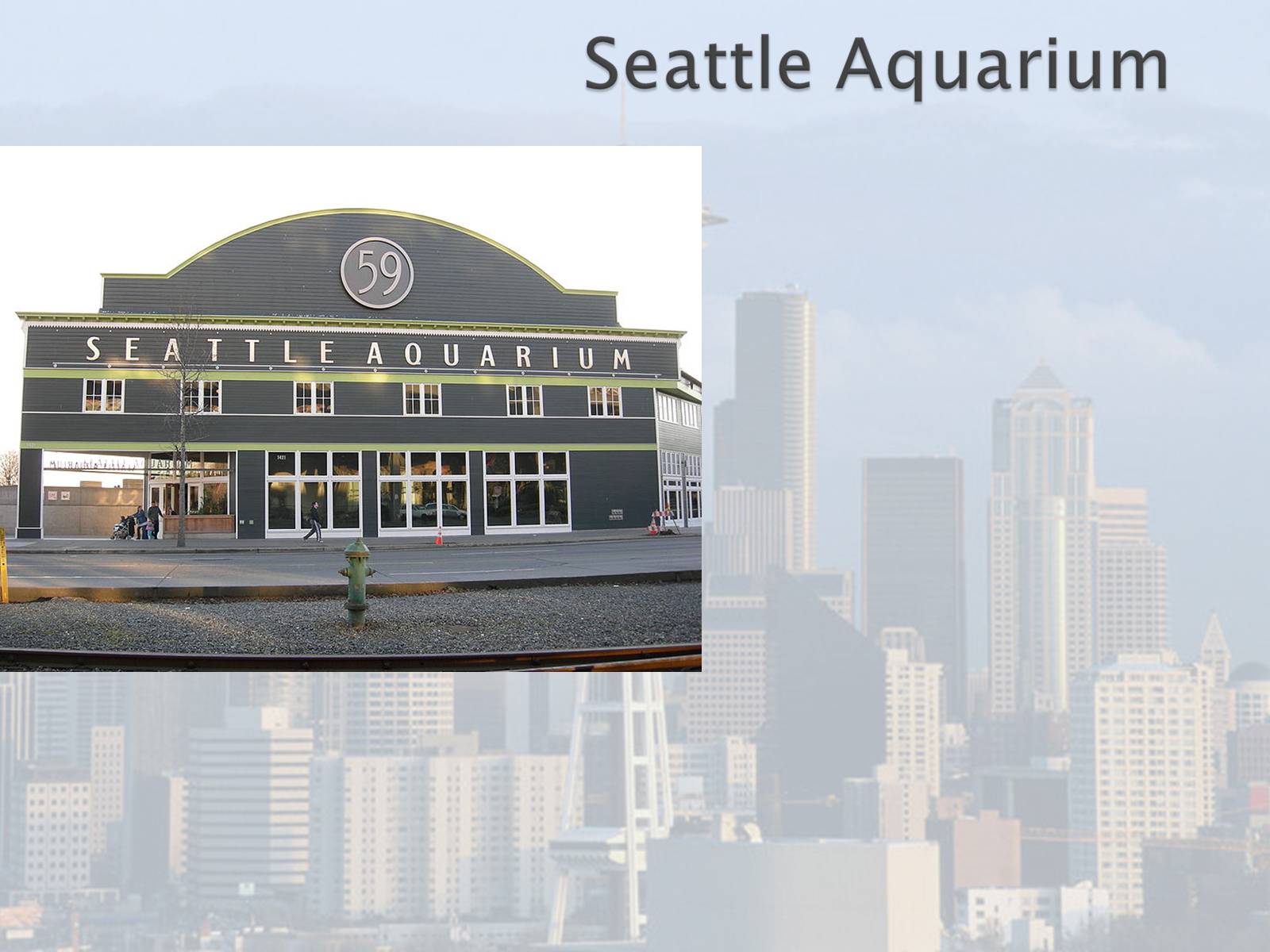 Презентація на тему «Seattle» (варіант 1) - Слайд #25