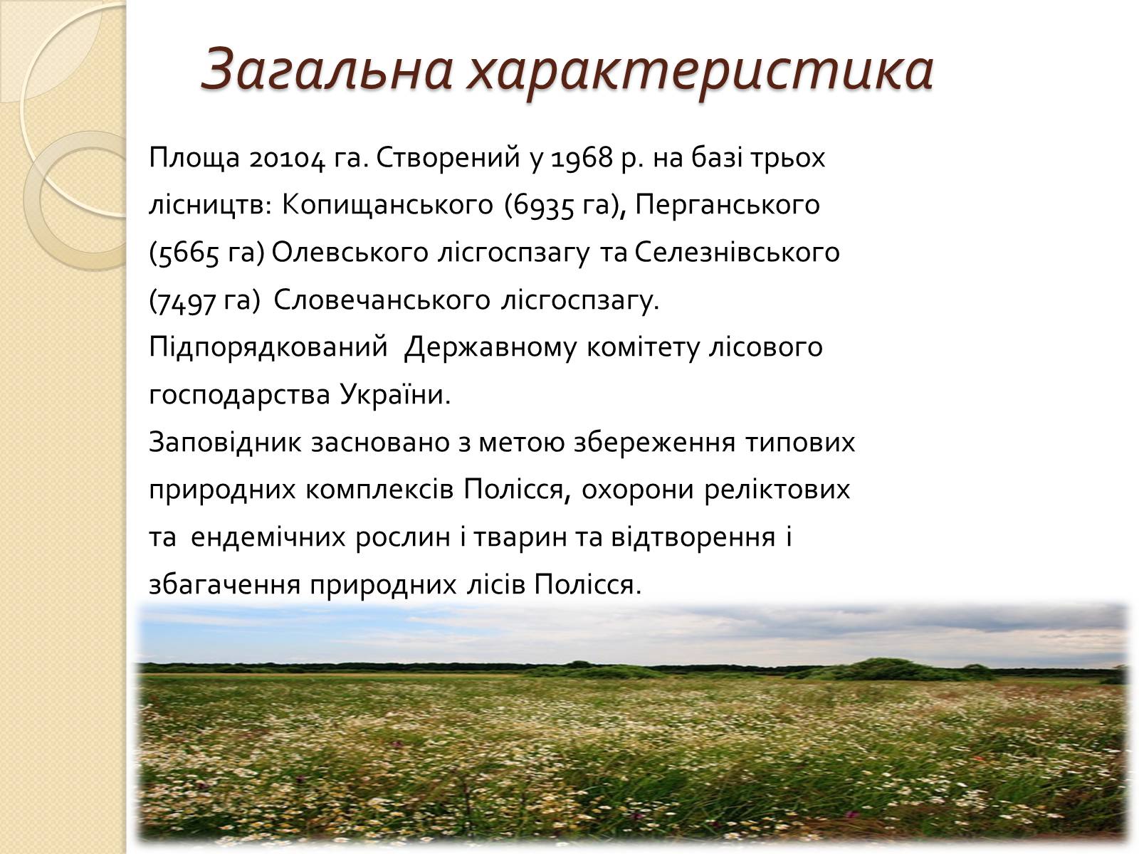 Презентація на тему «Поліський державний заповідник» - Слайд #4