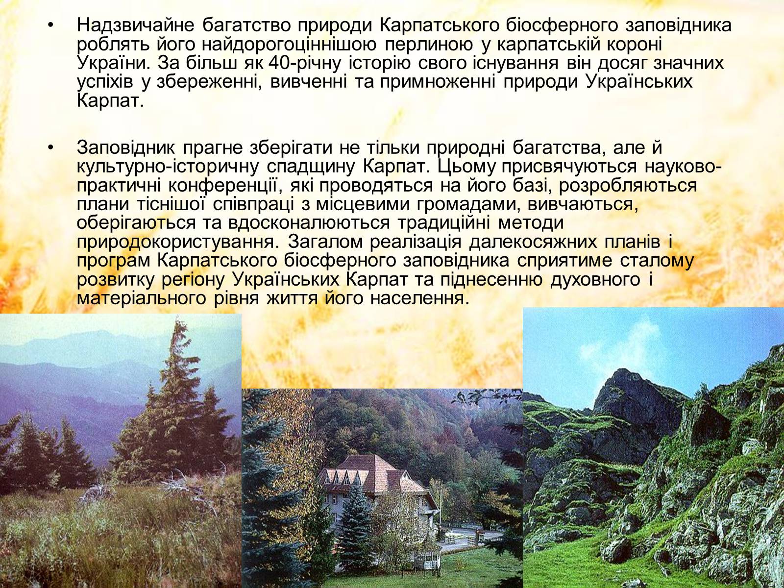 Презентація на тему «Карпатський біосферний заповідник» (варіант 2) - Слайд #14