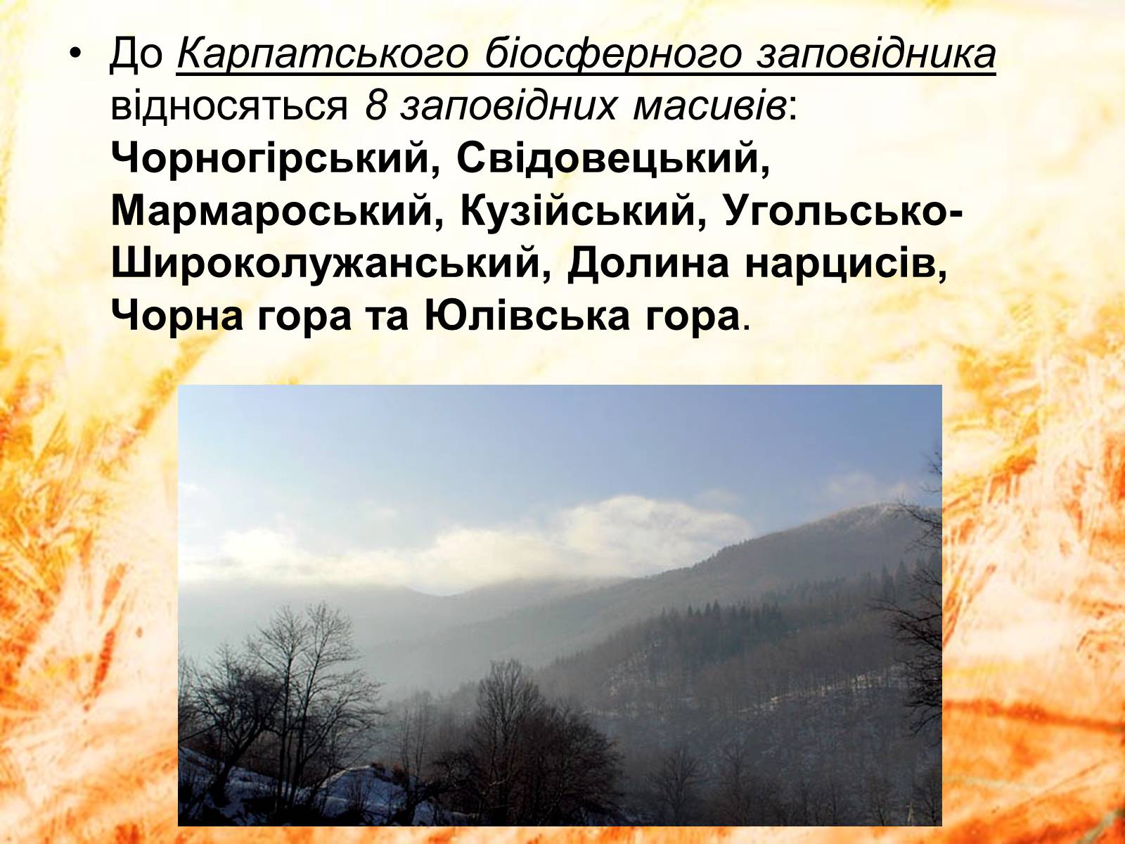 Презентація на тему «Карпатський біосферний заповідник» (варіант 2) - Слайд #15