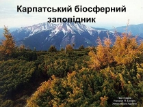 Презентація на тему «Карпатський біосферний заповідник» (варіант 2)